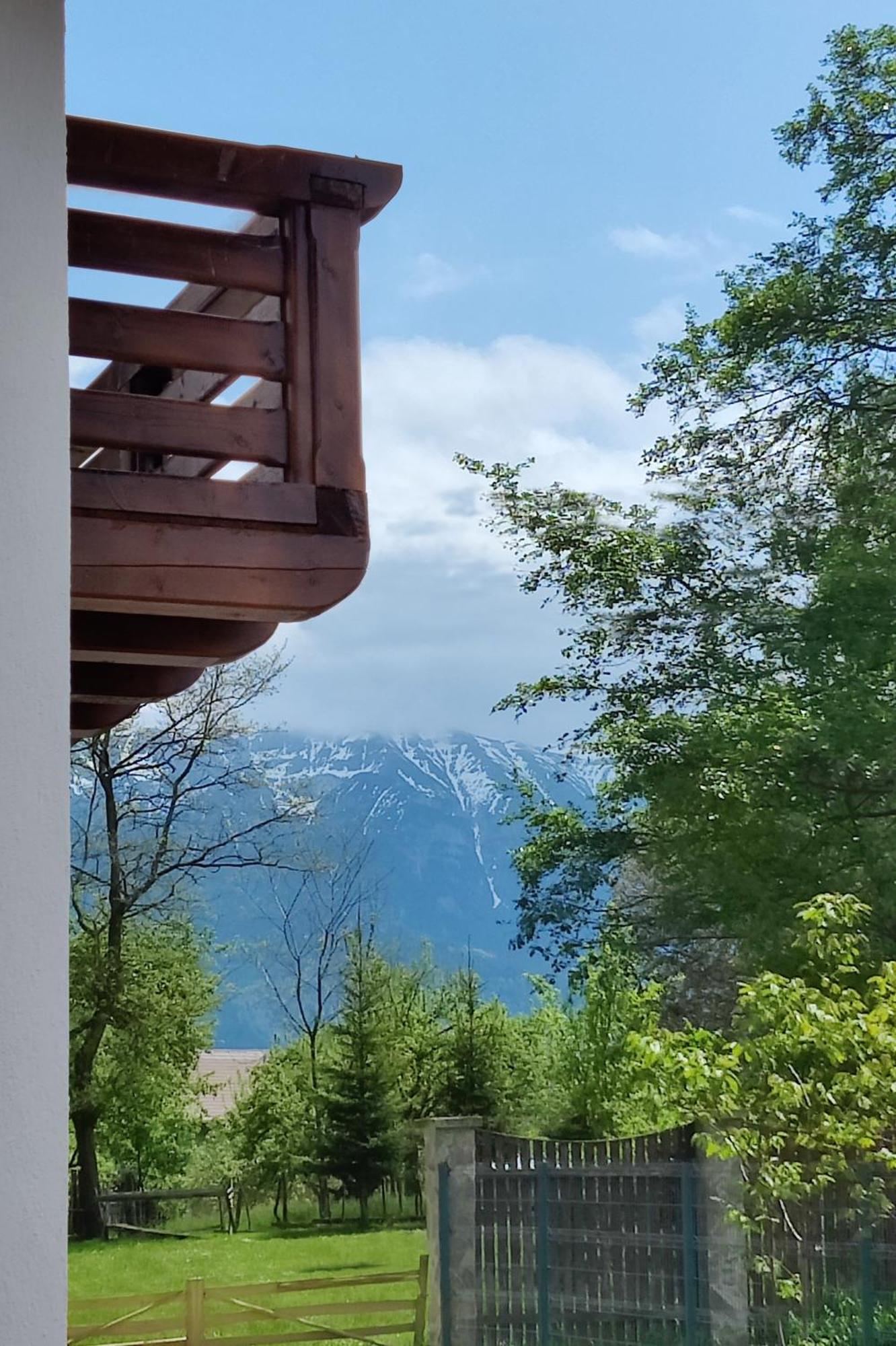 Ara Chalet Bran  Eksteriør billede